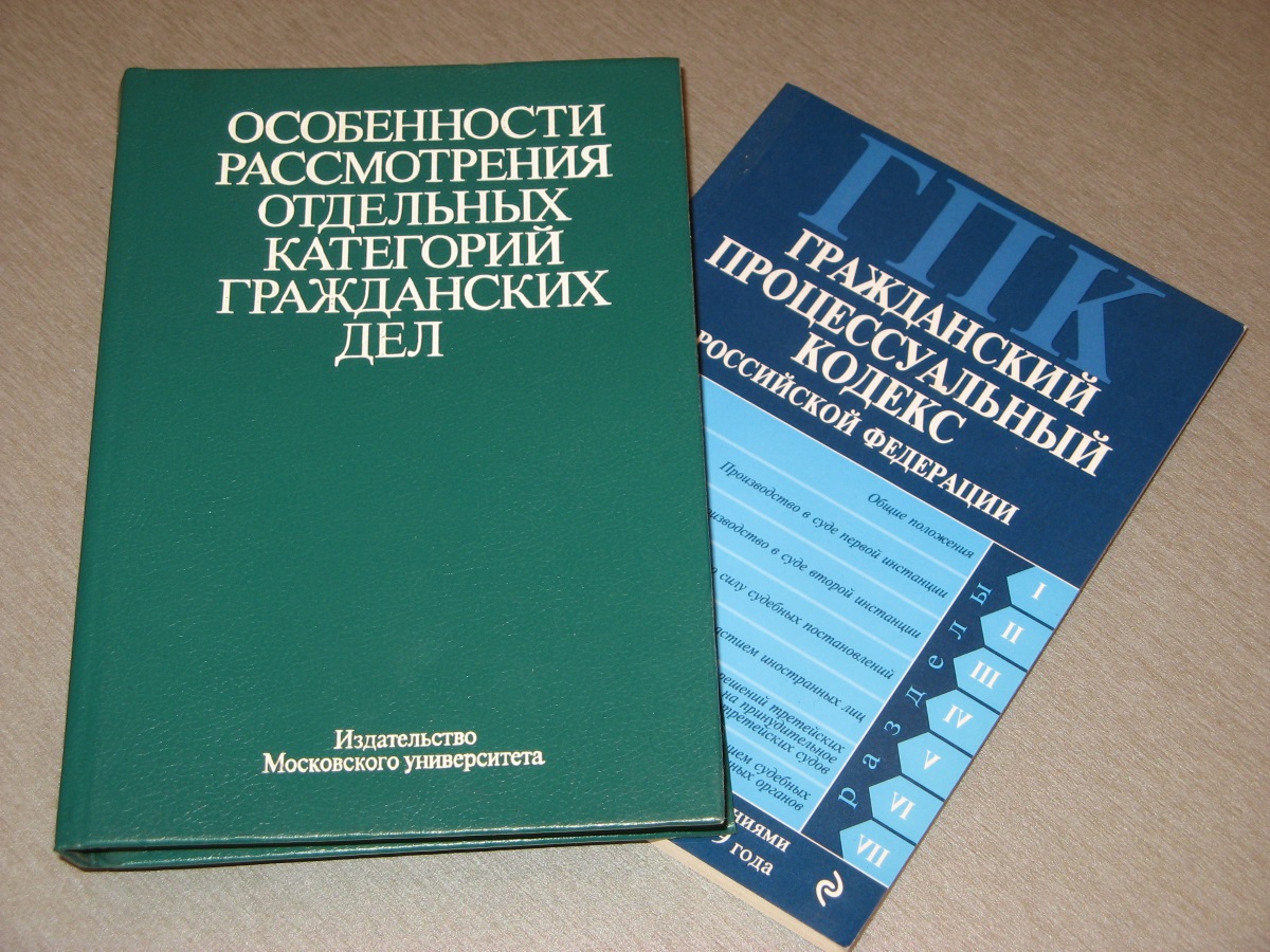 Изображение процкссуального оформления искового заявления на алименты